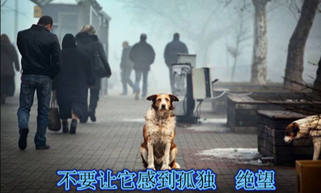 万盛万盛爱影圈微博微信转发案例